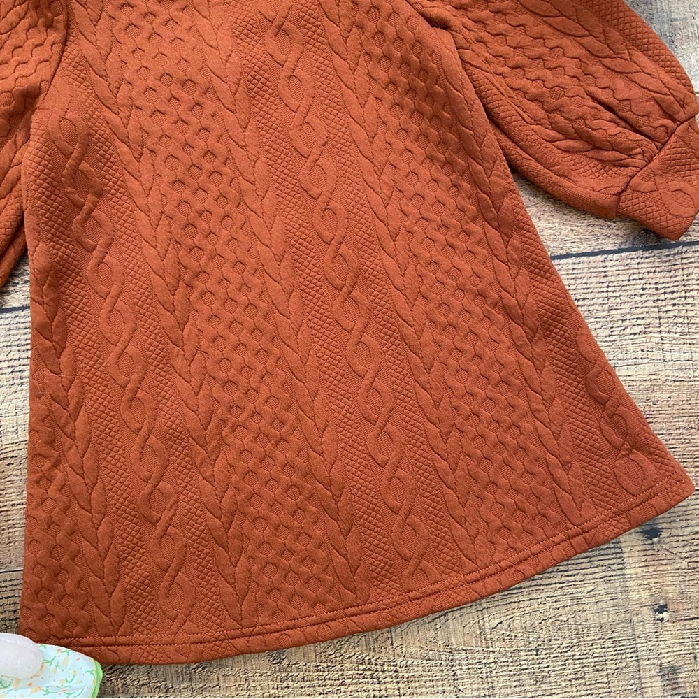 Dress Adorable Knit Rust Puff Sleeve Mock Neck Dress - Picture 4 of 10